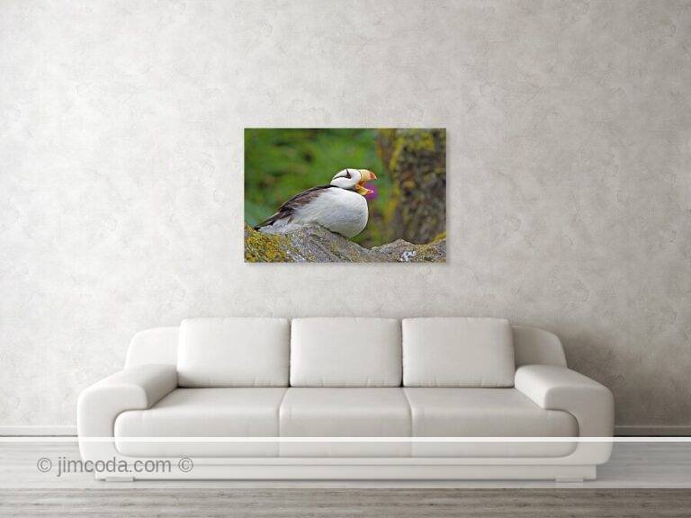 Fine art photo print example in living room