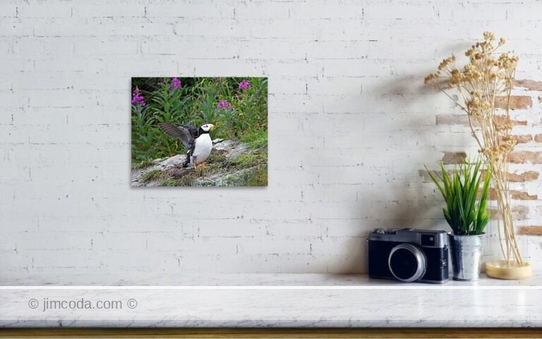 Fine art photo print example in living room