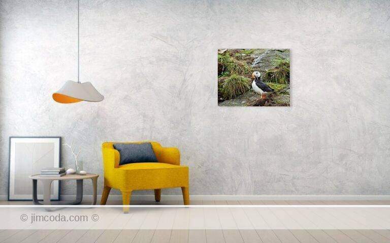 Fine art photo print example in living room