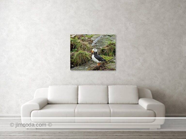 Fine art photo print example in living room