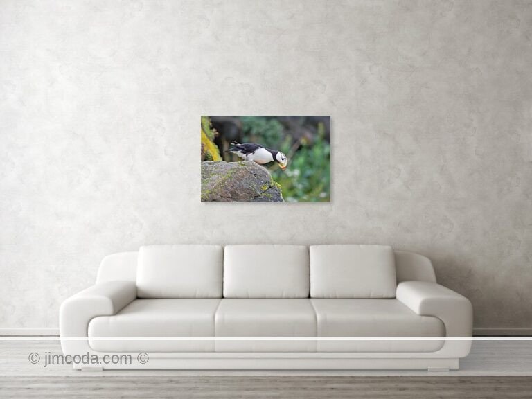 Fine art photo print example in living room