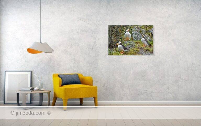 Fine art photo print example in living room