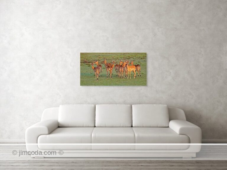 Fine art photo print example in living room