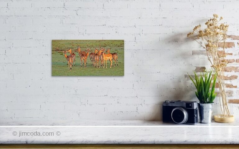 Fine art photo print example in living room