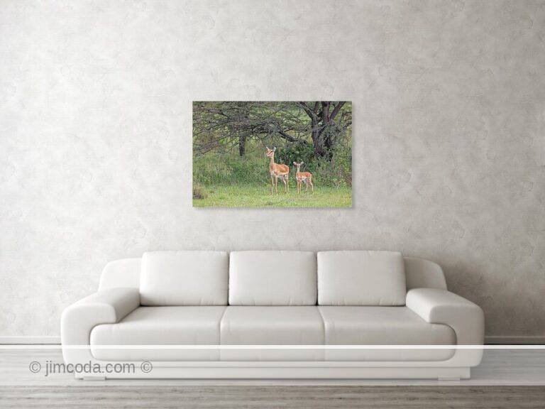Fine art photo print example in living room