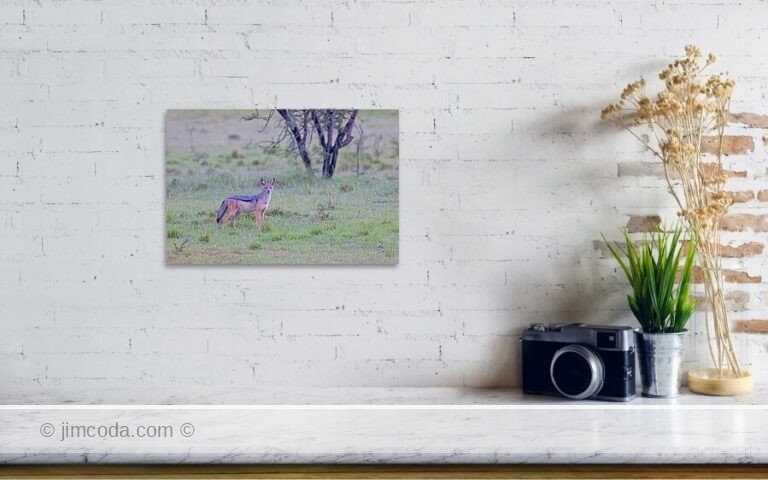 Fine art photo print example in living room