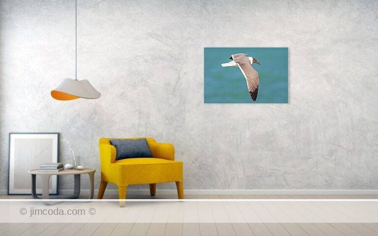 Fine art photo print example in living room