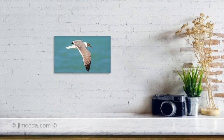 Fine art photo print example in living room