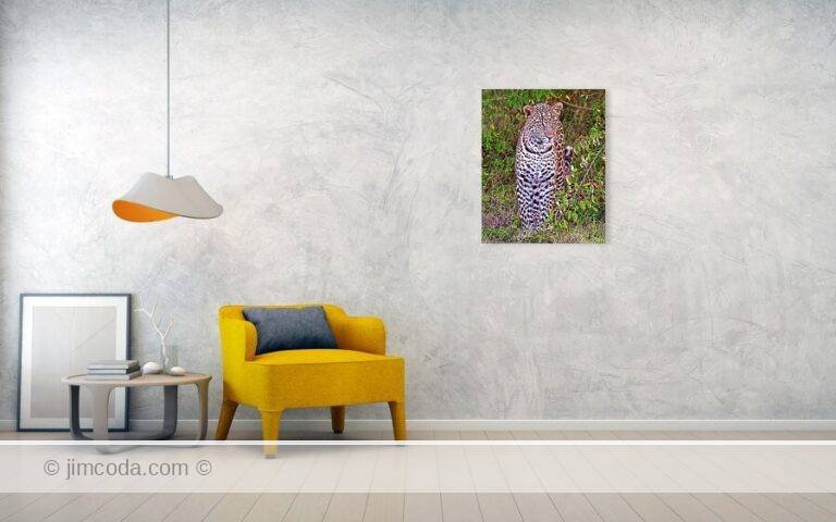 Fine art photo print example in living room