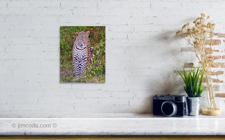 Fine art photo print example in living room