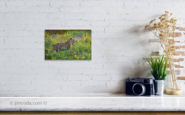 Fine art photo print example in living room