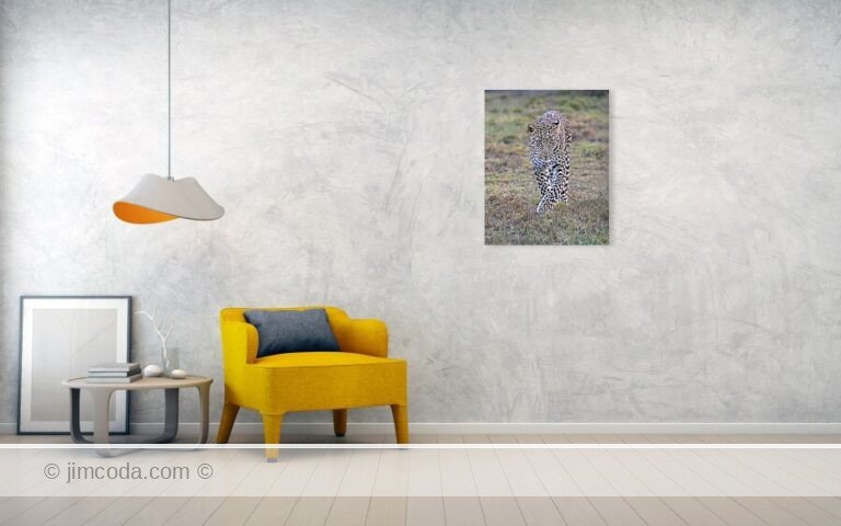Fine art photo print example in living room