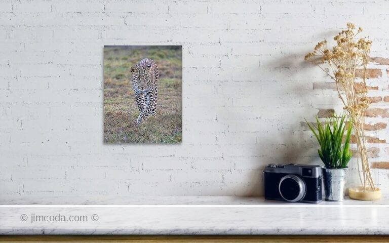 Fine art photo print example in living room
