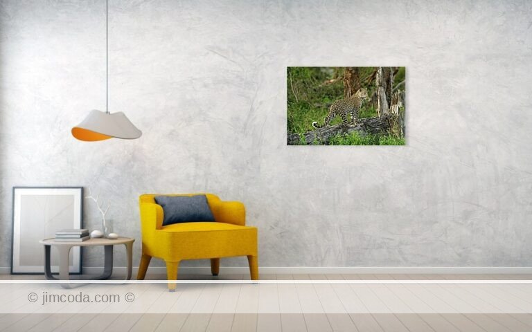 Fine art photo print example in living room