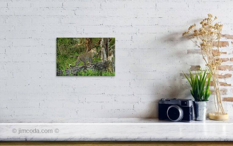 Fine art photo print example in living room