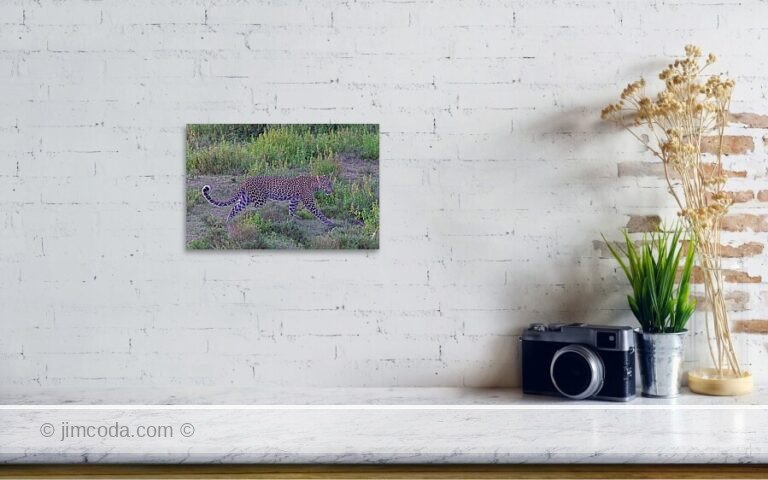 Fine art photo print example in living room