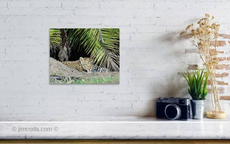 Fine art photo print example in living room