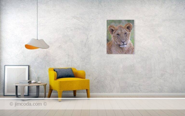 Fine art photo print example in living room