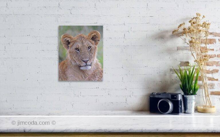 Fine art photo print example in living room