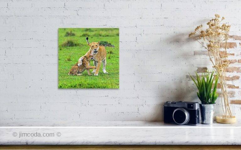 Fine art photo print example in living room