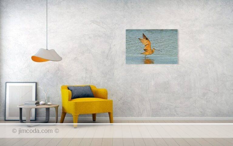 Fine art photo print example in living room