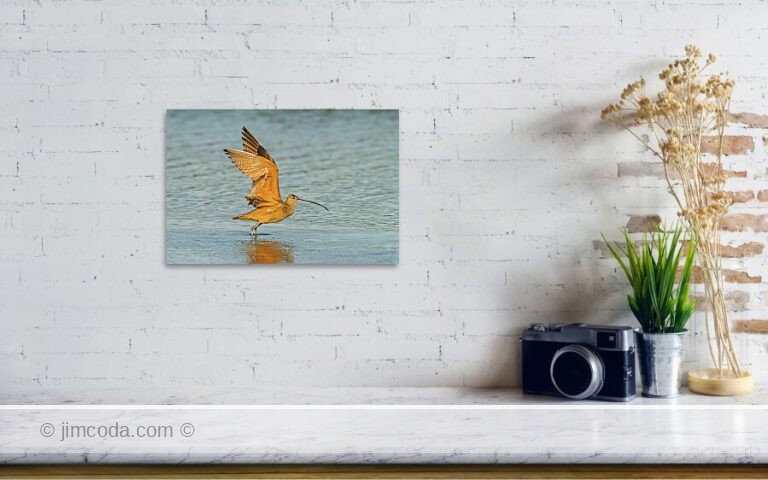 Fine art photo print example in living room
