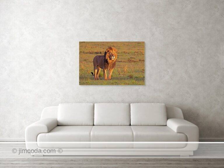 Fine art photo print example in living room