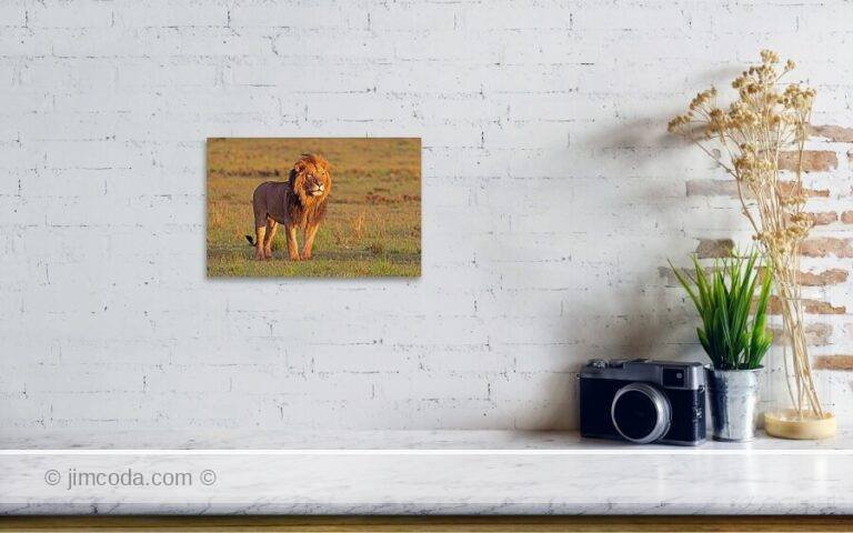 Fine art photo print example in living room
