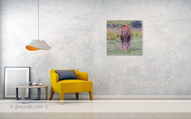 Fine art photo print example in living room