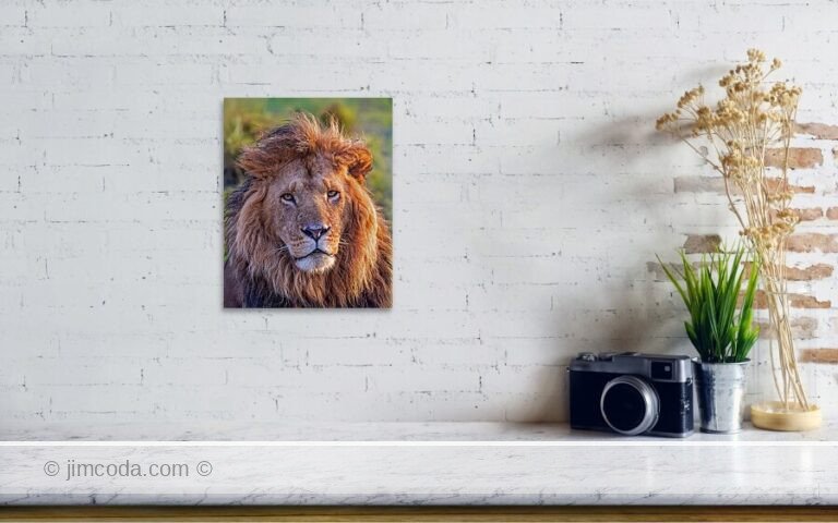 Fine art photo print example in living room