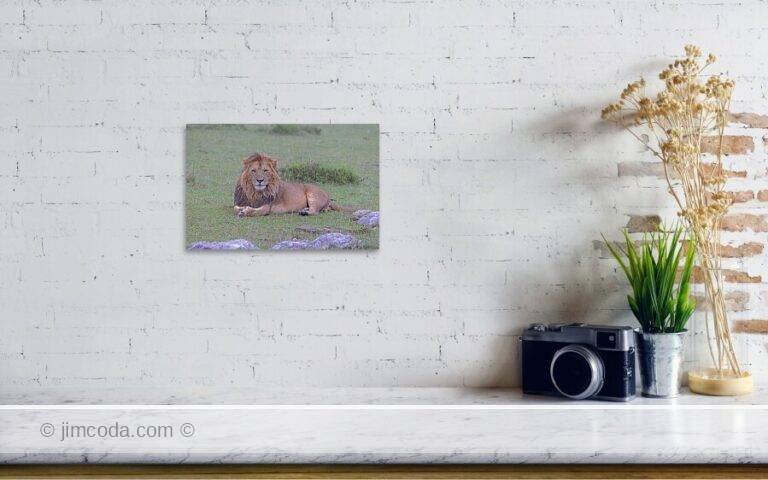 Fine art photo print example in living room