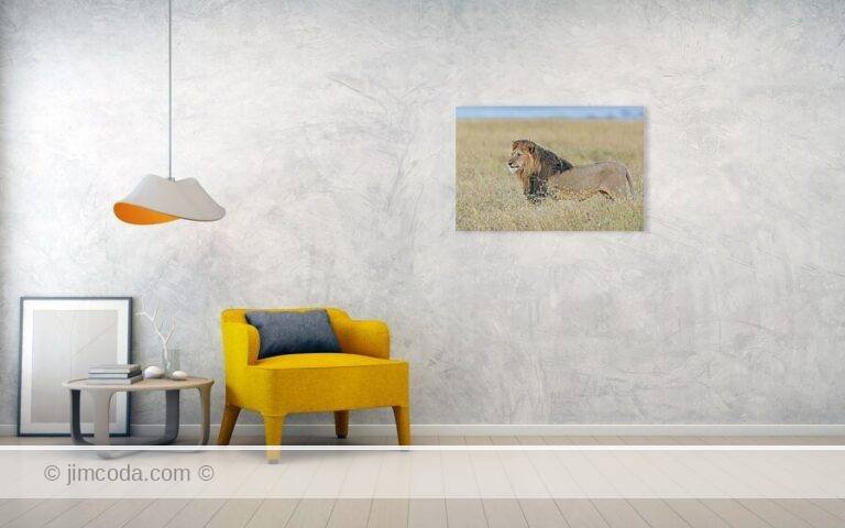 Fine art photo print example in living room