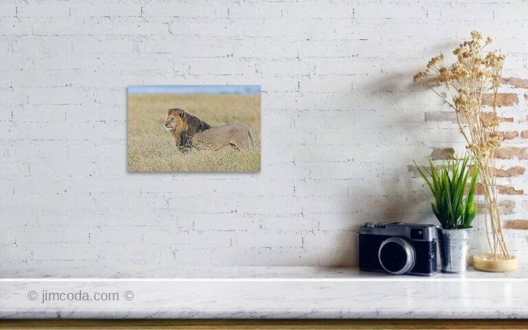 Fine art photo print example in living room