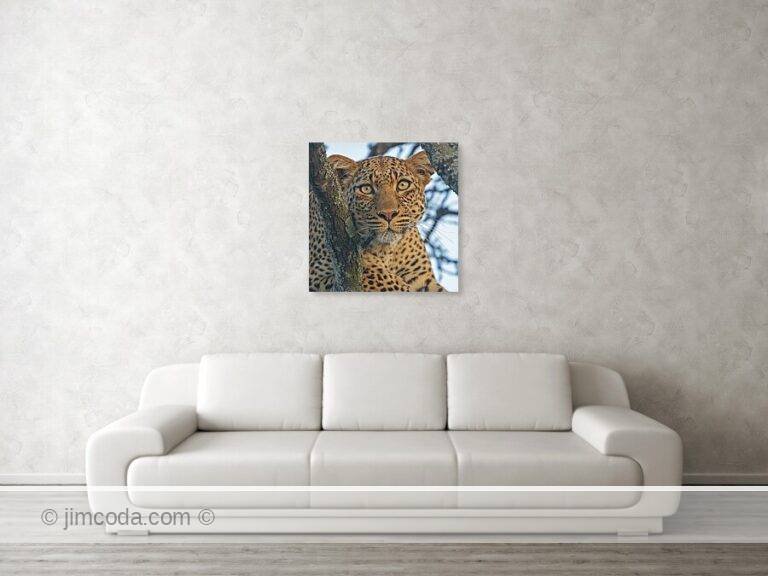 Fine art photo print example in living room