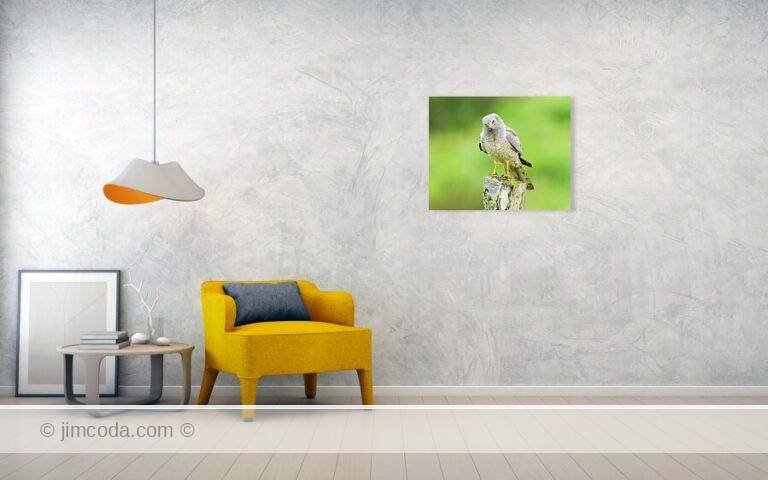 Fine art photo print example in living room