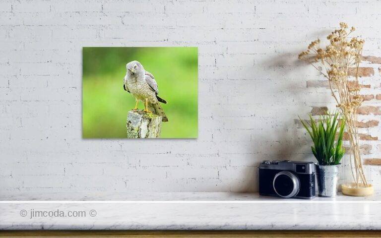 Fine art photo print example in living room