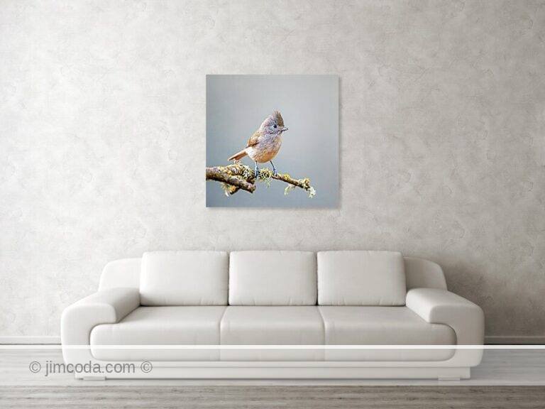Fine art photo print example in living room