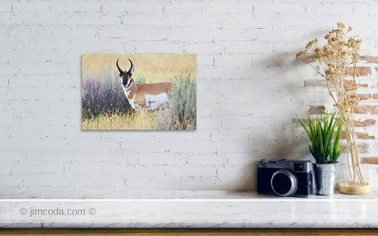 Fine art photo print example in living room
