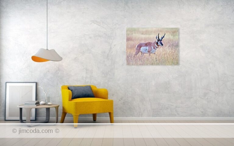 Fine art photo print example in living room
