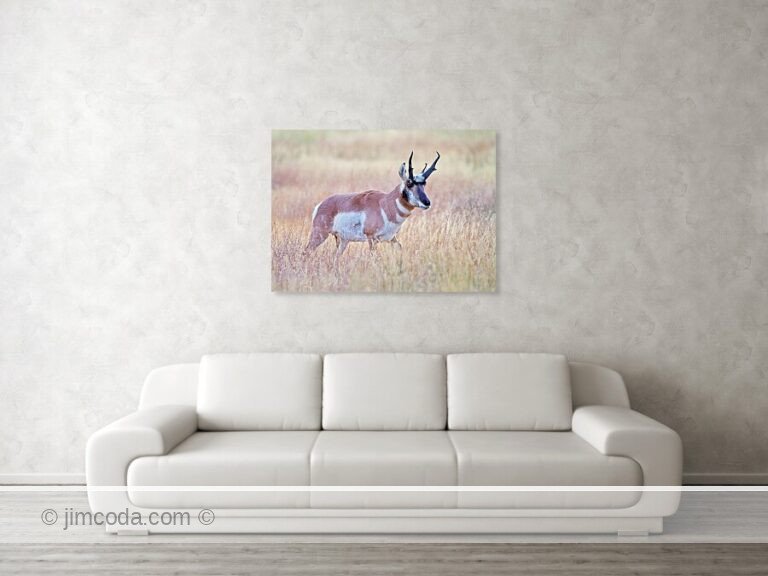Fine art photo print example in living room