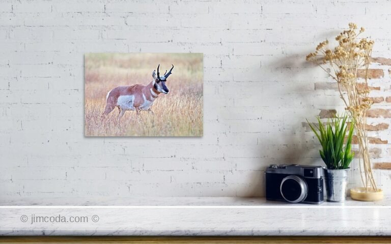 Fine art photo print example in living room