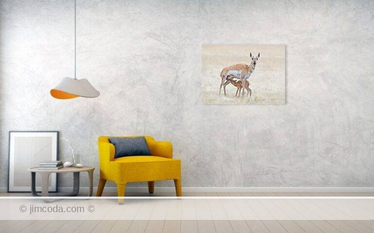 Fine art photo print example in living room