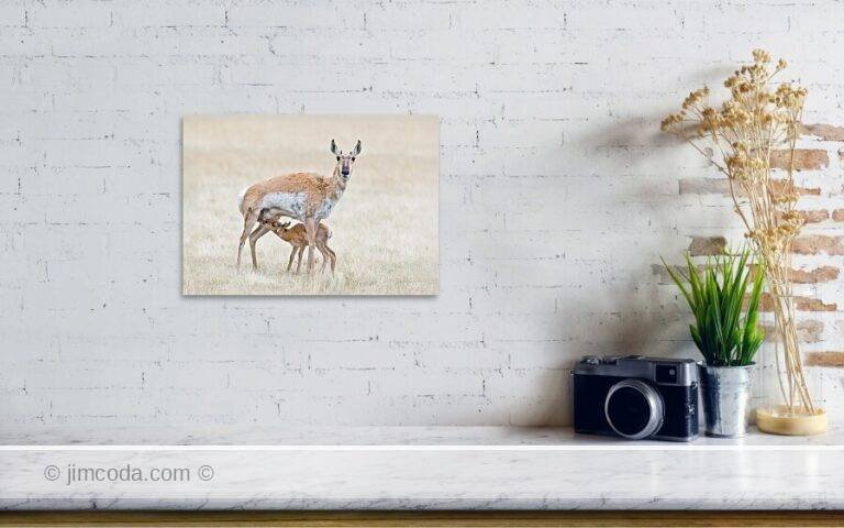 Fine art photo print example in living room