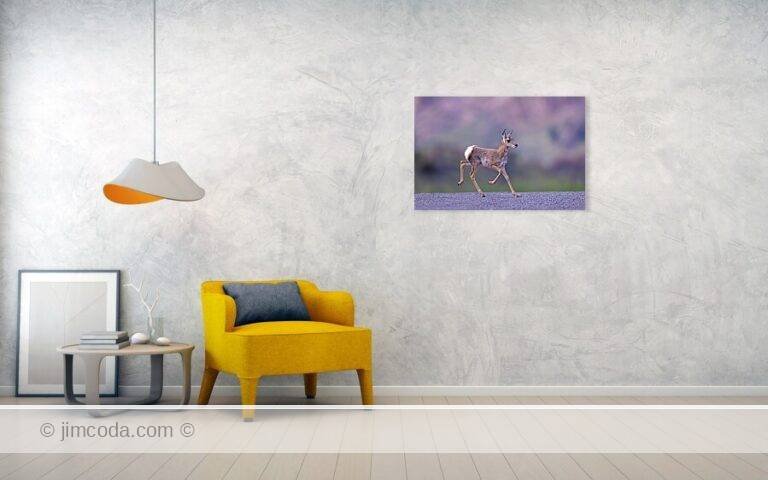Fine art photo print example in living room