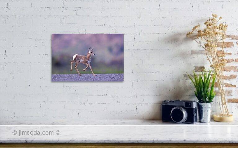 Fine art photo print example in living room