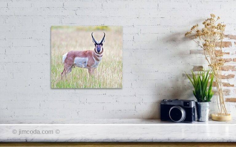 Fine art photo print example in living room