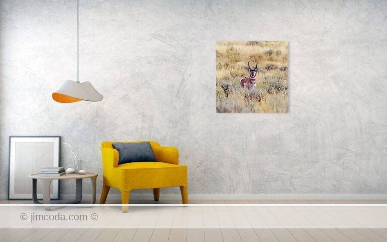 Fine art photo print example in living room