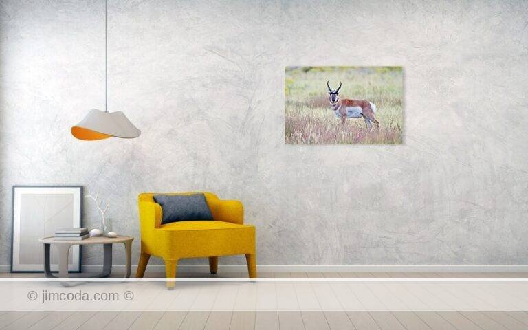 Fine art photo print example in living room
