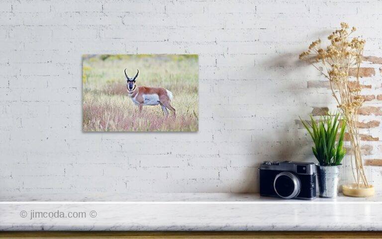Fine art photo print example in living room