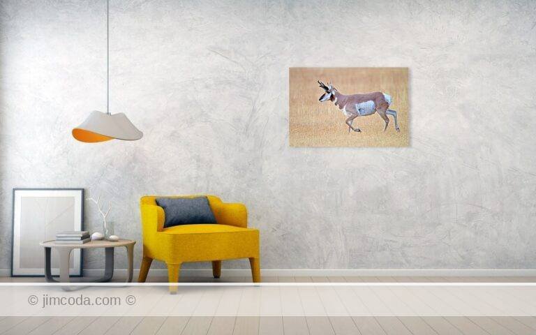 Fine art photo print example in living room